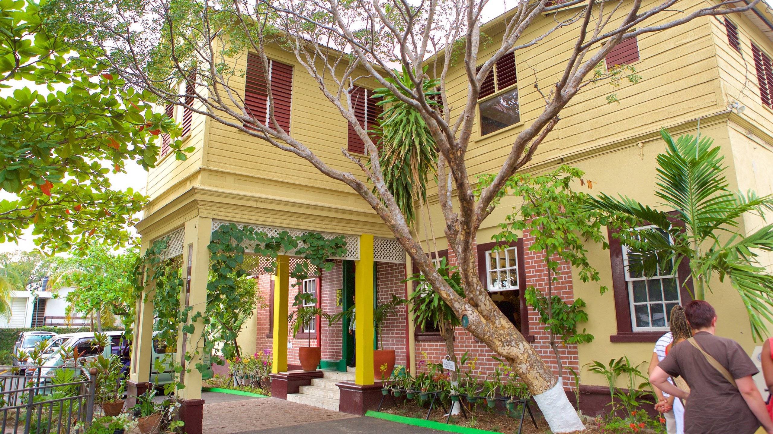 Bob Marley Museum Experience – Kingston